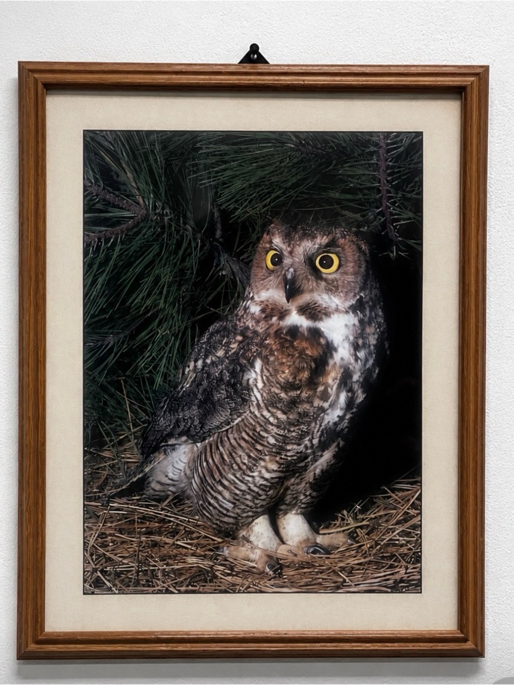 * Sheralscrafty Live Show Listing * - Picture 3 of 17
